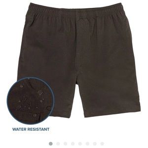 Chubbies The Flints 5.5" (Stretch) Swim Gym Shorts